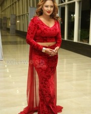 British Indian Actress Nikesha Patel Latest Pictures 15