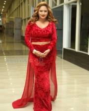 British Indian Actress Nikesha Patel Latest Pictures 16