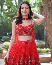Heroine Rukshar Dhillon at Spark Movie Success Meet Photos 28 Heroine Rukshar Dhillon at Spark Movie Success Meet Photos 28