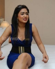 Hot Indian Model Actress Nikeesha Patel Photos 06