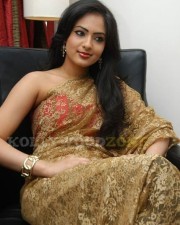 Hot Nikesha Patel Gallery 02