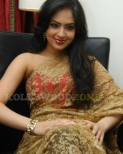 Hot Nikesha Patel Gallery 03