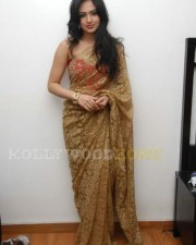 Hot Nikesha Patel Gallery 04