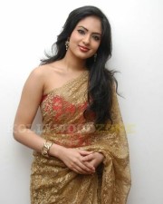 Hot Nikesha Patel Gallery 05