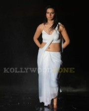 Hot Pictures Of Actress Isha Chawla 16