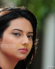 Hot Pictures Of Actress Isha Chawla 18