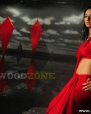 Hot Pictures Of Actress Isha Chawla 29