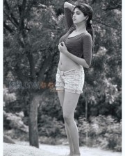 Ice Cream 2 Movie Heroine Naveena Sexy Hot Photos 25