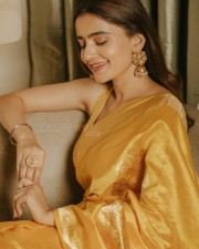 Jugaadistan Actress Rukshar Dhillon in a Golden Saree Photoshoot Pictures 07