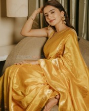 Jugaadistan Actress Rukshar Dhillon in a Golden Saree Photoshoot Pictures 08
