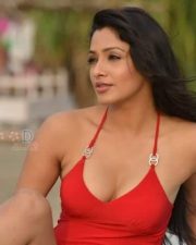 Kesha Khambhati Hot Swimsuit Pictures 12
