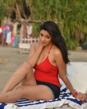 Kesha Khambhati Hot Swimsuit Pictures 15