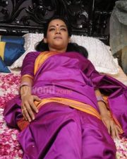 Mumaith Khan Spicy Saree Pictures 23