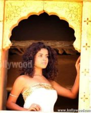 Piaa Bajpai Sexy Pictures 26