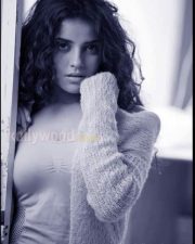 Piaa Bajpai Sexy Pictures 34