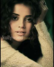 Piaa Bajpai Sexy Pictures 37