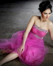 Punjabi Actress Nikesha Patel Photoshoot Stills 05