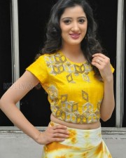 Richa Panai At Rakshaka Bhatudu Movie Trailer Launch Photos 03 Richa Panai At Rakshaka Bhatudu Movie Trailer Launch Photos 03