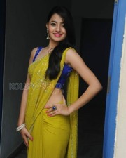 Rukshar Mir Sexy Saree Photos 01