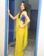 Rukshar Mir Sexy Saree Photos 04