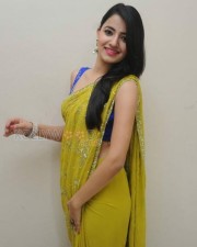 Rukshar Mir Sexy Saree Photos 13