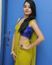 Rukshar Mir Sexy Saree Photos 20