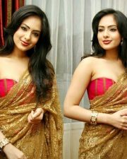 Sexy Nikesha Patel Stills 03