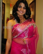 Sexy Telugu Actress Tashu Kaushik Pictures 09