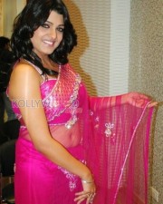 Sexy Telugu Actress Tashu Kaushik Pictures 10