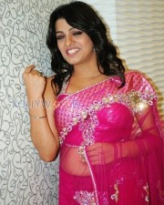 Sexy Telugu Actress Tashu Kaushik Pictures 13