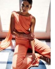 Supermodel Dayana Erappa Photoshoot Pictures 06