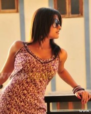 Tashu Kaushik Stills 12