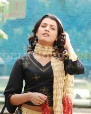 Tashu Kaushik115
