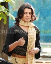 Tashu Kaushik117