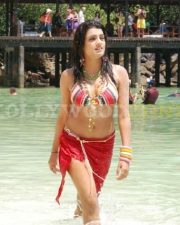 Tashu Kaushik143