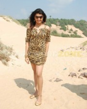 Tashu Kaushik164