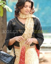 Tashu Kaushik208