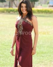 Tashu Kaushik241