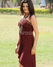 Tashu Kaushik244
