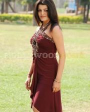 Tashu Kaushik245