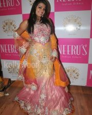Tashu Koushik Beautiful Pictures 16