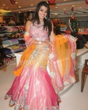 Tashu Koushik Beautiful Pictures 22