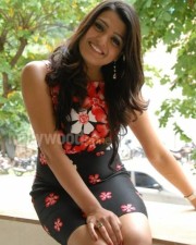 Tashu Koushik Sexy Skirt Pictures 12