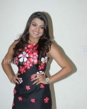 Tashu Koushik Sexy Skirt Pictures 16