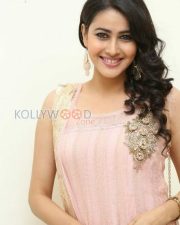 Telugu Actress Panchi Bora Pictures 16