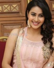 Telugu Actress Panchi Bora Pictures 17