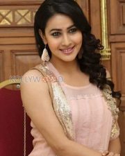 Telugu Actress Panchi Bora Pictures 20