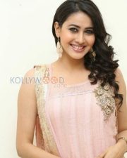 Telugu Actress Panchi Bora Pictures 23