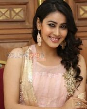 Telugu Actress Panchi Bora Pictures 24