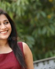 Telugu Actress Rashmi Gautam New Pictures 36